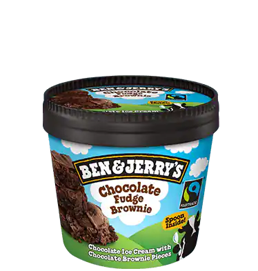 Chocolate Fudge Brownie B&J 100 ml