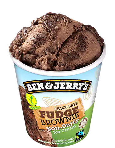 Non Dairy Chocolate Fudge Brownie B&J 465 ml