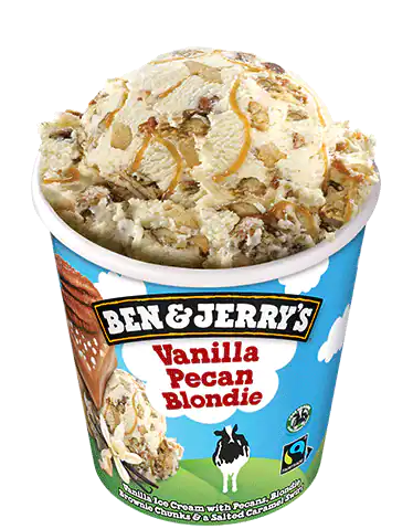 Vainilla Pecan Blondie B&J 465 ml
