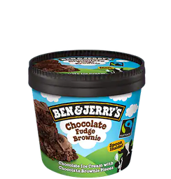 Chocolate Fudge Brownie B&J 100 ml