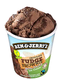 Non Dairy Chocolate Fudge Brownie B&J 465 ml
